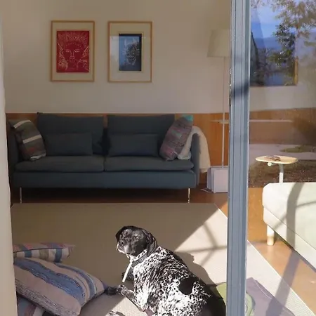 Gotogeres - Casa Da Cortica - Sobrenatura