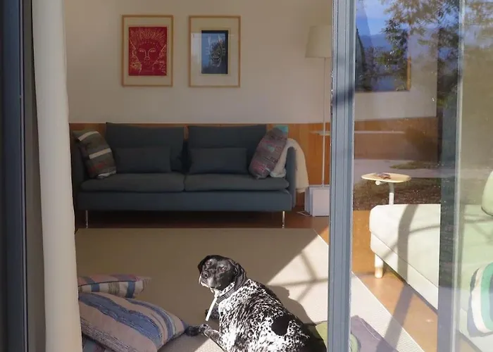 Gotogeres - Casa Da Cortica - Sobrenatura